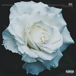 Profile Picture of Thomas Bloxham (@the_pxrge) on Instagram