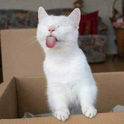 Profile Picture of Ricky Bloom (@RickyBloom5) on Twitter