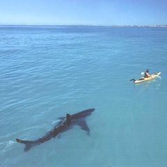 Profile Picture of johnwulff347 (@johnwulff347) on Tiktok