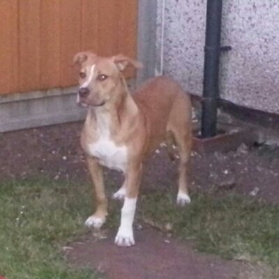 Profile Picture of Mark Homer (@markhomer3) on Twitter