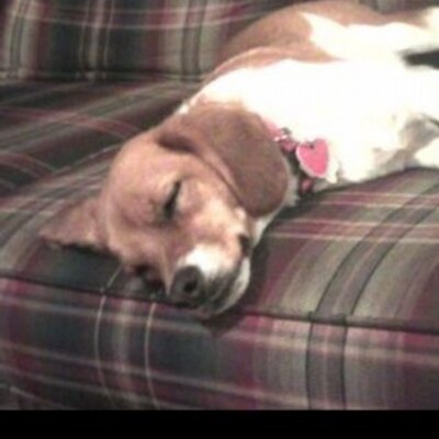 Profile Picture of Darrell Cullum (@CullumDarrell) on Twitter