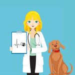 Profile Picture of INTERVENCIONES ASISTIDAS CON PERROS (IAP) (@the.gooddogtor) on Instagram
