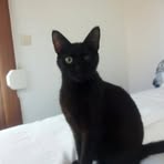 Profile Picture of Eric Baas (@eric.baas.73) on Facebook