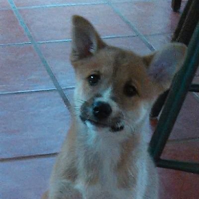 Profile Picture of Sammi Mackey (@SandraM68675286) on Twitter