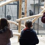 Profile Picture of Cindy Boogerd-te Lindert (@boogerdtelindert) on Instagram