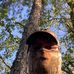 Profile Picture of Dave Davenport (Dave Davenport) (@dave.davenport.10) on Facebook
