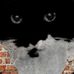Profile Picture of Michael Robotham (@michael.robotham.98) on Facebook