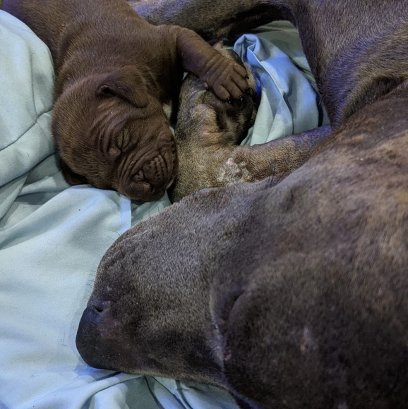 Profile Picture of Madison Stewart wilson (@mrswilson420) on Poshmark