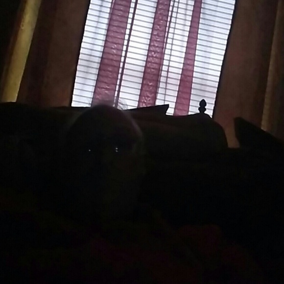 Michael Wainwright - Poshmark Profile Picture of Michael Wainwright (@shoesmiser) on Poshmark