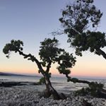 Profile Picture of Kerry Angele (@kerry_angele) on Instagram