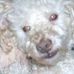 Profile Picture of Rusty Hanna (@rusty.hanna.71) on Facebook