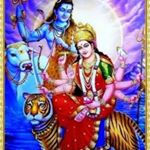 Profile Picture of vijaykashyap (@vijaykashyap3658) on Instagram