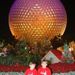 Profile Picture of Nancy Leigh McDade (@jhapnl) on Pinterest