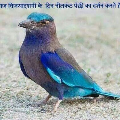 Profile Picture of Narendra Mast Ram Jha (@mast_jha) on Twitter