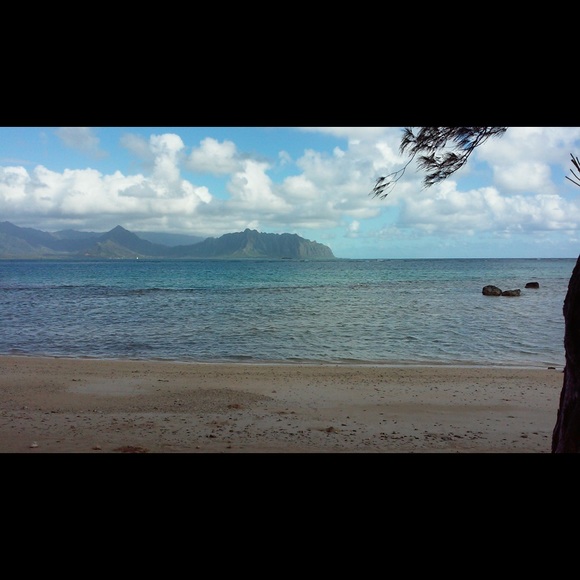 Profile Picture of Cameron Nishida (@cameronnishida) on Poshmark