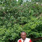 Profile Picture of Robert Murwa (@Robert-Murwa) on Facebook