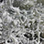 Profile Picture of Jesse Guzman (@JesseGuz) on Flickr