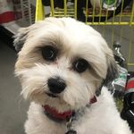 Profile Picture of haley.denton (@haley.denton) on Instagram