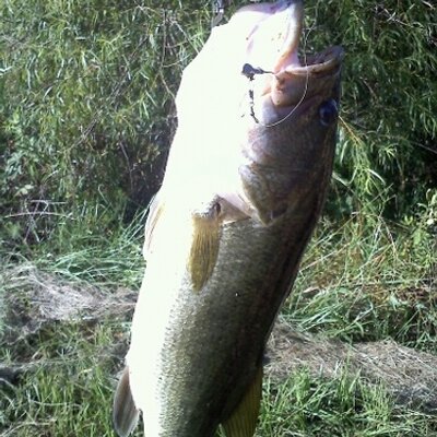 Profile Picture of Michael Wicker (@wicker_michael) on Twitter