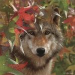 Craig Stiefvater - Instagram Profile Picture of Craig Stiefvater (@autumn_wolf_17) on Instagram