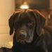 Profile Picture of Jerry Trice (@jerry.trice.77) on Facebook
