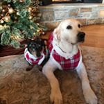 Profile Picture of Nancy Kfoury (@nskfoury) on Instagram