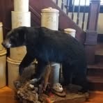 Profile Picture of Brad Thiel (@brad.thiel.12) on Facebook