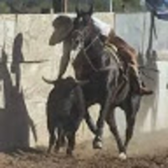 Profile Picture of Jose Ruvalcaba (@jruvalcaba1384) on Poshmark