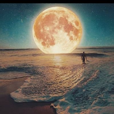 Profile Picture of Daniel Widner (@DanielWidner10) on Twitter