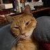 Profile Picture of Geoffrey Viney (@geoffrey.viney) on Facebook