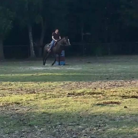 Profile Picture of Richard Beasley (@herbertbeasley) on Poshmark