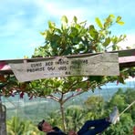 Profile Picture of Durak Dayan Modabpil (@james.salanga.779) on Facebook