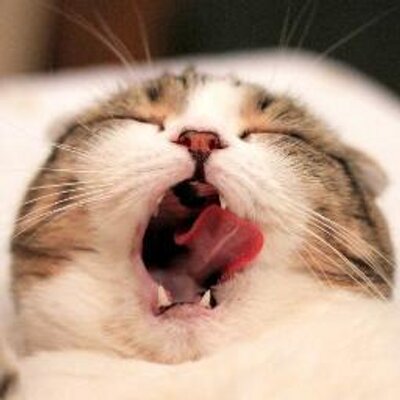 Profile Picture of 김혁(Kim Hyuck) (@hyuckkim_kr) on Twitter