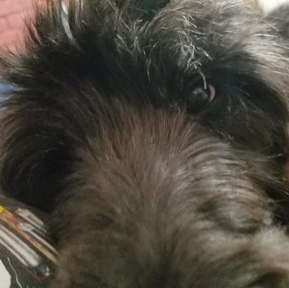 Steve Elbert - Poshmark Profile Picture of Steve Elbert (@steve_elbert) on Poshmark