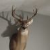 Profile Picture of Jason Teasley (@jason.teasley.7) on Facebook