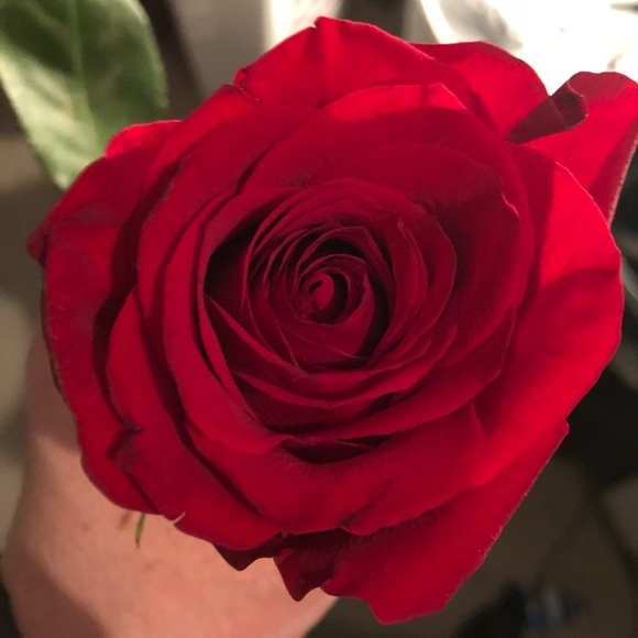 Tina Colwell - Poshmark Profile Picture of Tina Colwell (@tinacol) on Poshmark