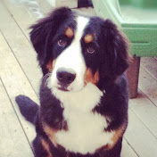 Profile Picture of Kevin Seguin (@KevinSeguin) on Youtube