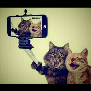 Profile Picture of Joe_aja (@D_elbo1) on Twitter