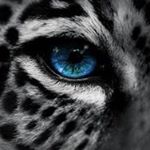 Profile Picture of Lovenature (@hennen_david) on Instagram