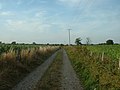 Profile Picture of Kinnerton railway stationon Wikipedia