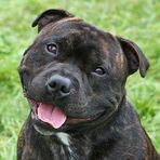 Profile Picture of James Shaw (@james.g.shaw.3) on Facebook