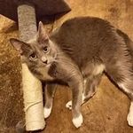 Profile Picture of Whitney Stratton (@whitney.stratton.31) on Instagram