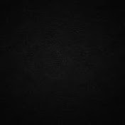 Ray Luna - Youtube Profile Picture of Ray Luna (@rayluna.) on Youtube