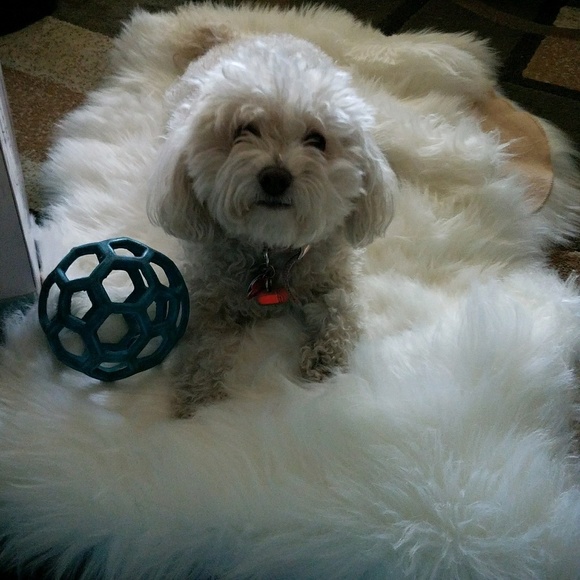 Profile Picture of Yecenia Diaz (@yessidiaz3) on Poshmark