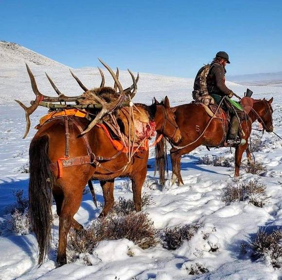 Profile Picture of Levi Guenzler (@levi1guenzler) on Poshmark