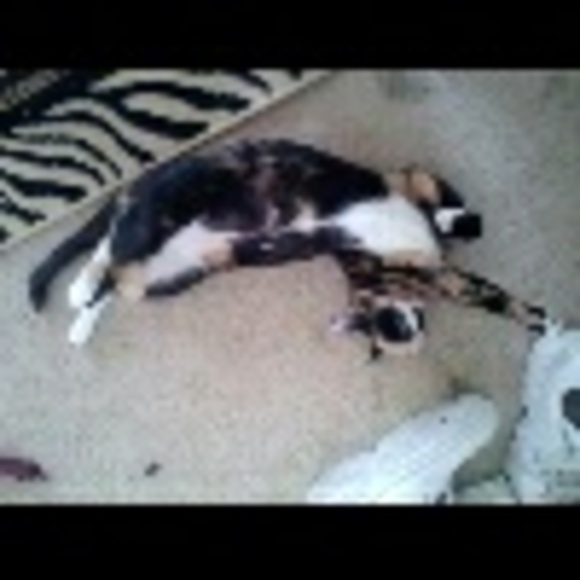 Profile Picture of Jos? Zotti (@joe01e) on Poshmark