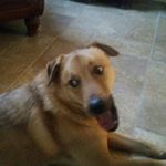 Profile Picture of josie_michaela176 (@josie_michaela176) on Instagram