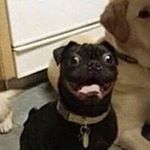 Joshua Wofford - Instagram Profile Picture of Joshua Wofford (@joshuawoffordt) on Instagram