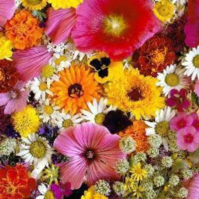 Profile Picture of Zoe Leach (@Zoe13Leach) on Twitter