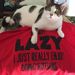 Profile Picture of Amy Klima (@abklima) on Pinterest